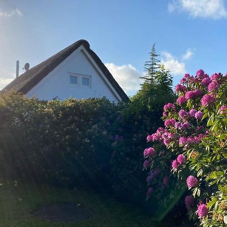 Ferienhaus Butterblume Südbrookmerland Exteriör bild