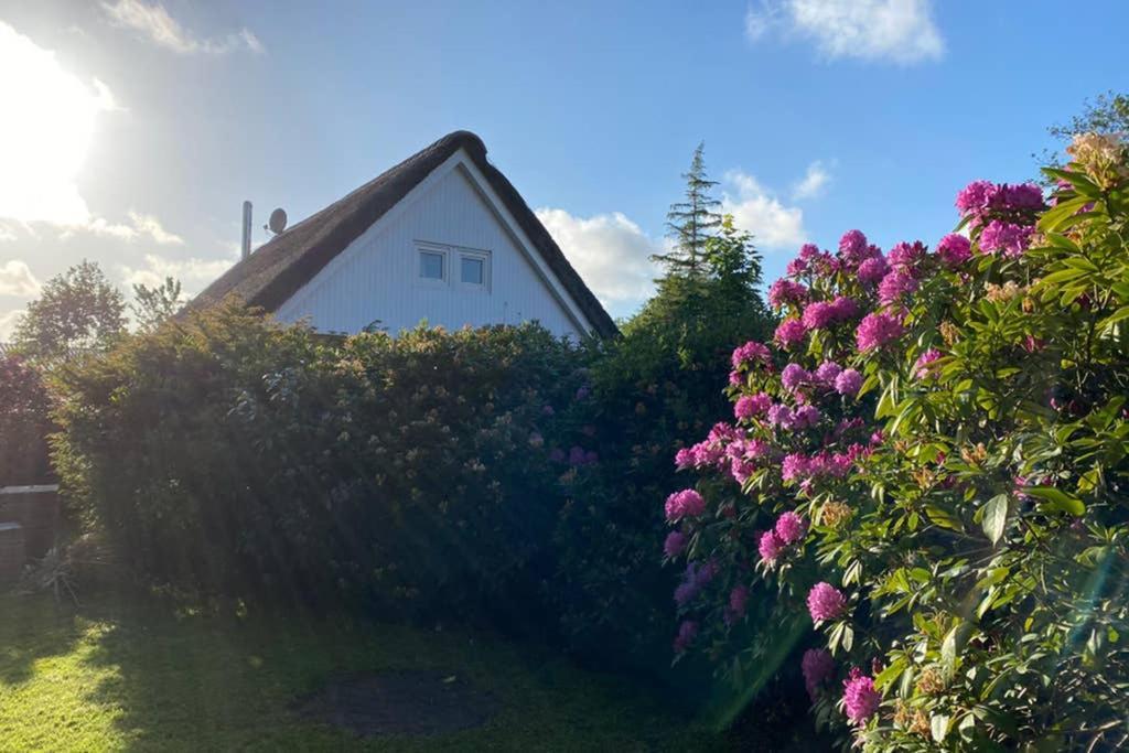 Ferienhaus Butterblume Südbrookmerland Exteriör bild